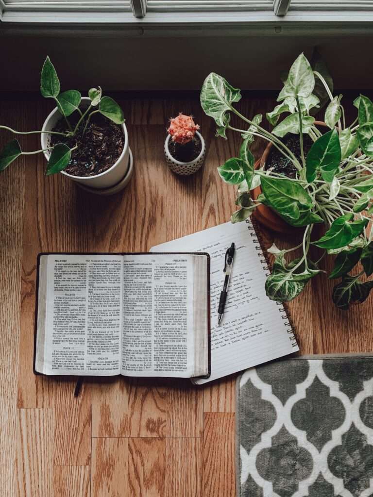 Bible open to the book of Psalms with journal, pen, and plants by a sunlit window