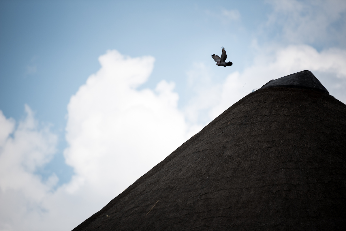 Bird flies over a mountain with blue sky and clouds behind