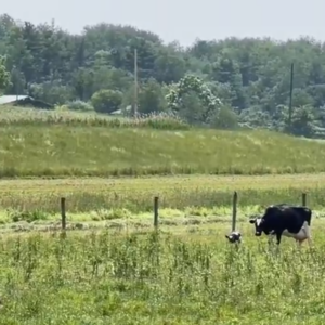 Brugler Farm
