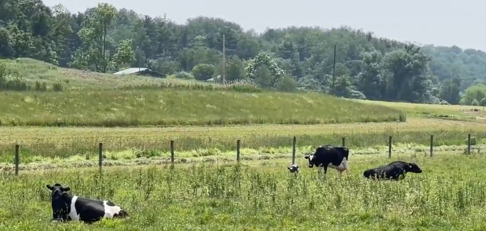 Brugler Farm